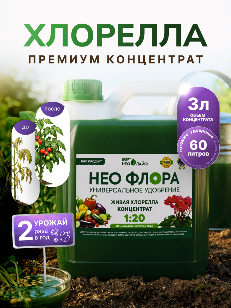Концентрат живой хлореллы НЕОФЛОРА, объём 3 л